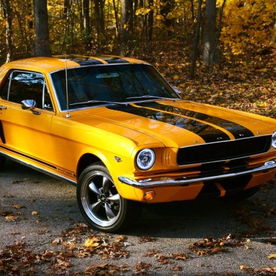 Brian's Ford Mustang GT