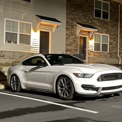 koalajimmoriarty's Ford Mustang