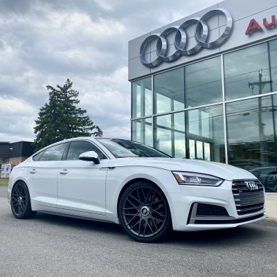 Allie's Audi S5