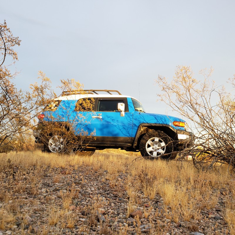 Burt.the.blue's Toyota FJ Cruiser