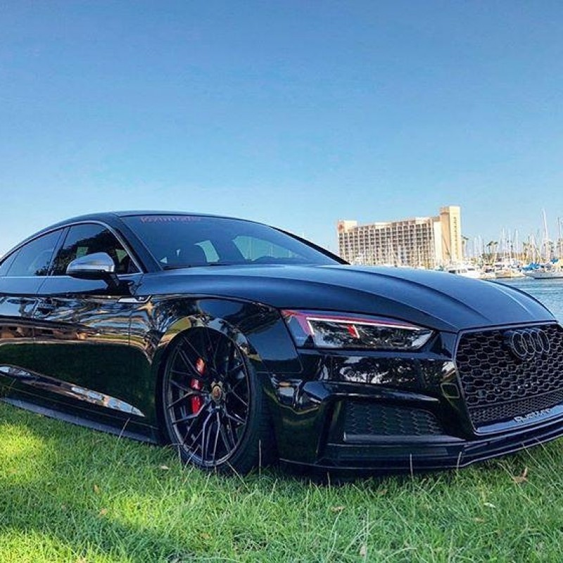 LRODRI10's Audi S5