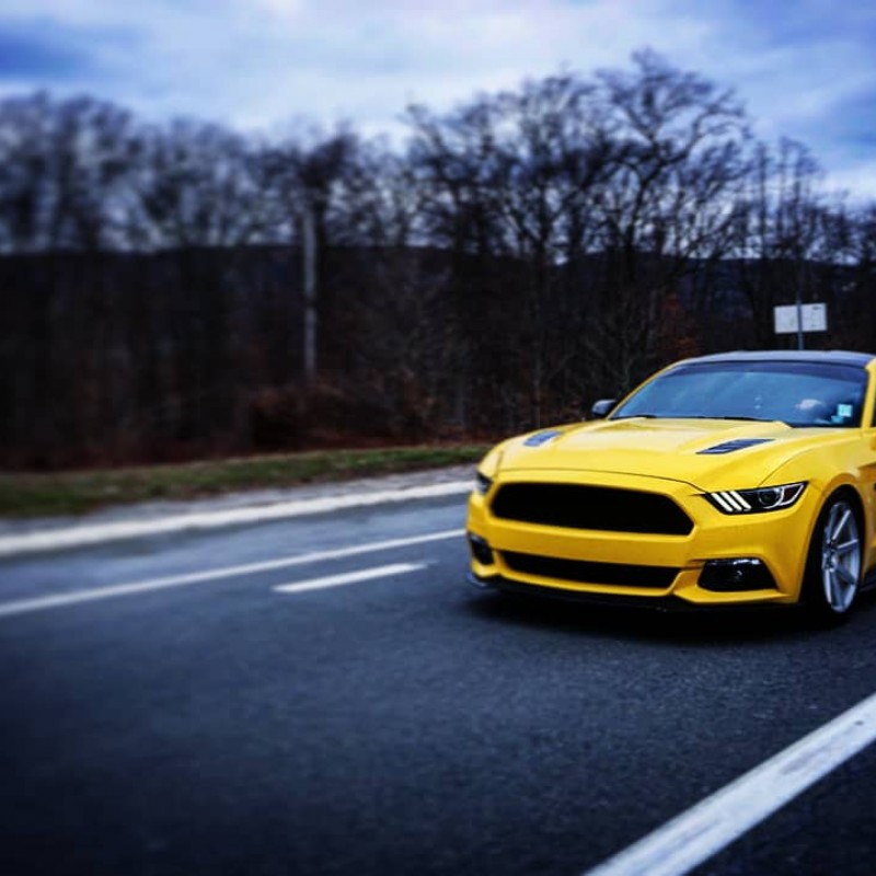 Melloyellow's Ford Mustang