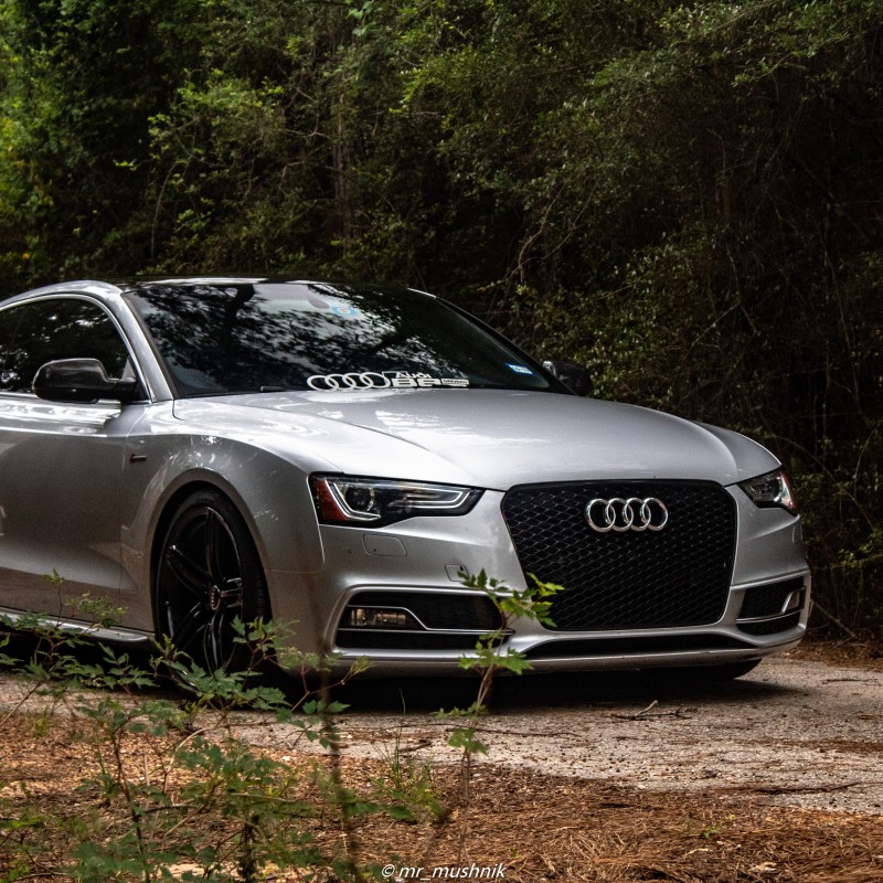 Mr_Mushnik's Audi S5