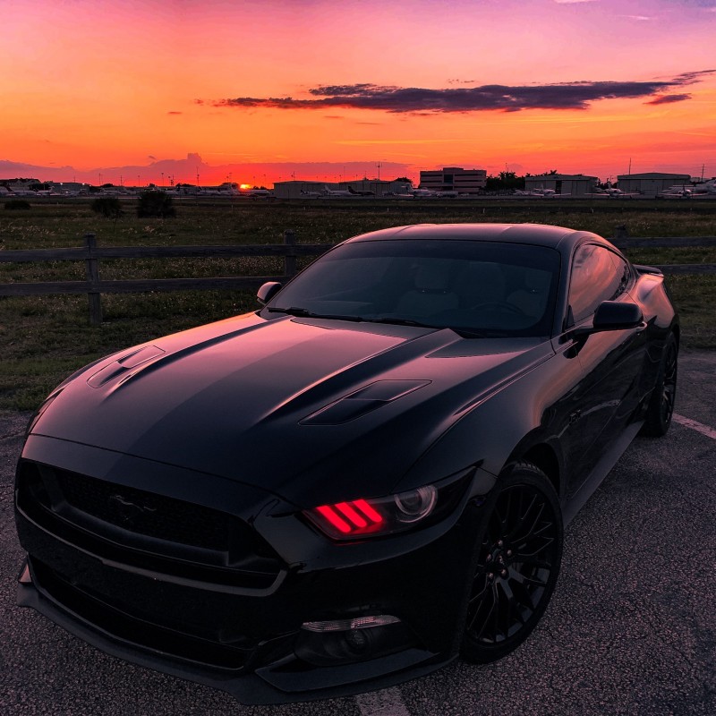 Ryans5.0's Ford Mustang