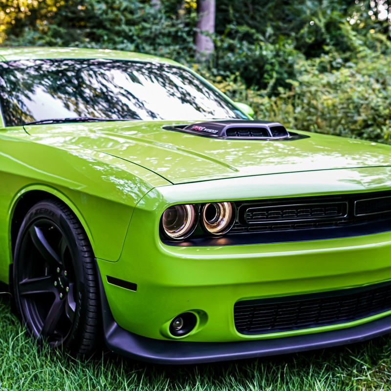 Sublimescat's Dodge Challenger