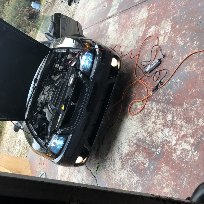 blackpanther's Ford Mustang