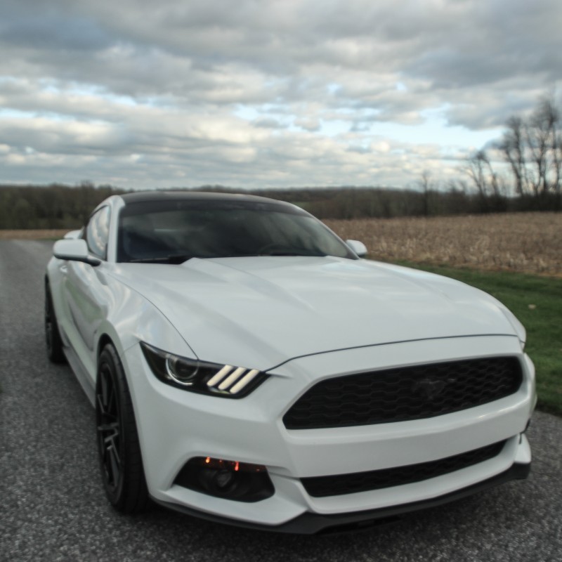 ecobeast.eric's Ford Mustang Ecoboost