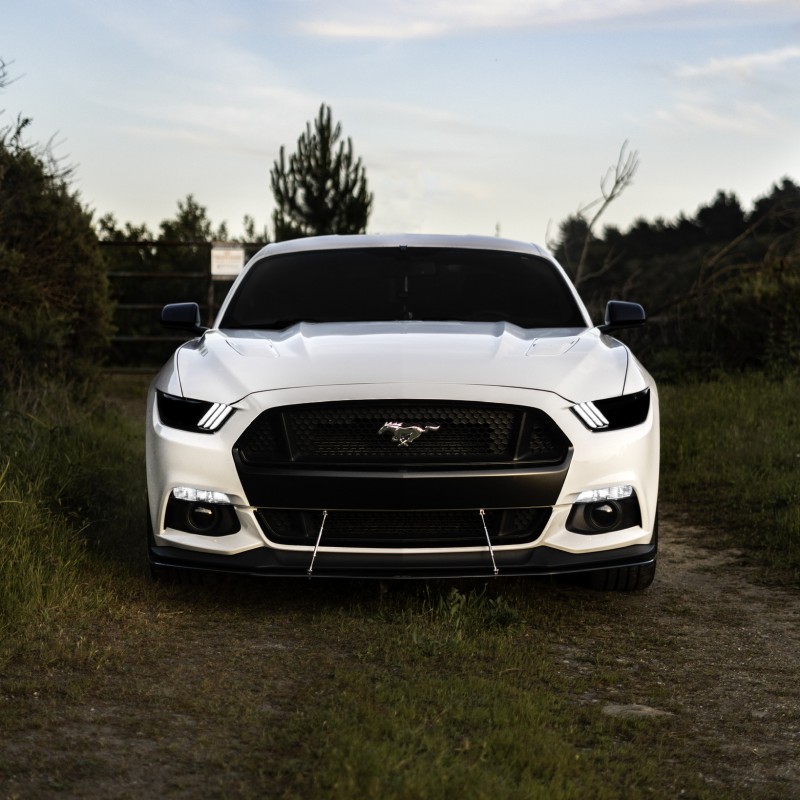 snowfiveoh's Ford Mustang