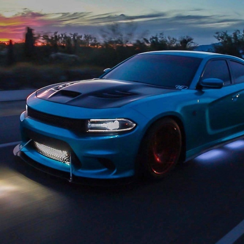 zapantaleonard's Dodge Charger